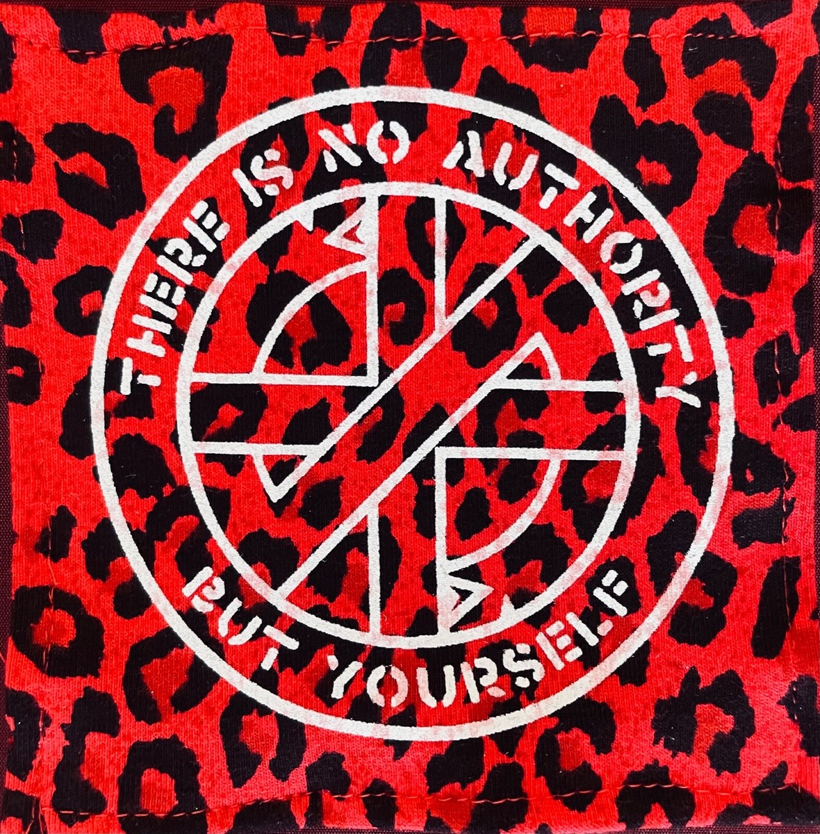 CRASS「THERE IS NO AUTHORITY BUT〜」 映画ポスター Crass: There is No Authority But Yourself - Documentaire (2006)