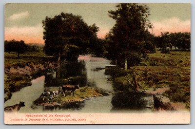 Vintage Postcard ME Portland Headwaters of the Kennebunk Cattle Cows -*1962