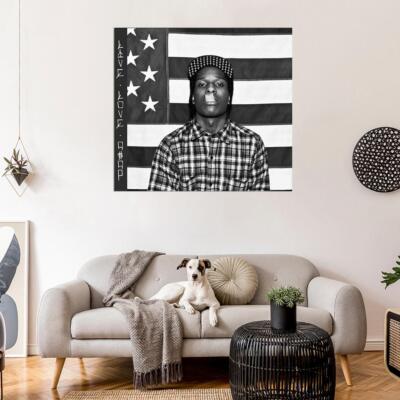 ASAP Rocky Rat Album Cover Art Canvas Print - 12x18 Inch Music Poster