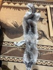 Wolf Hide with paws. Professionally Tanned And Stamped. 6ft Tail To Nose — photo 1