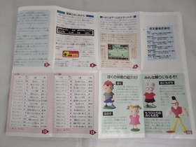 Mother Model Famicom Software Nintendo FLY01