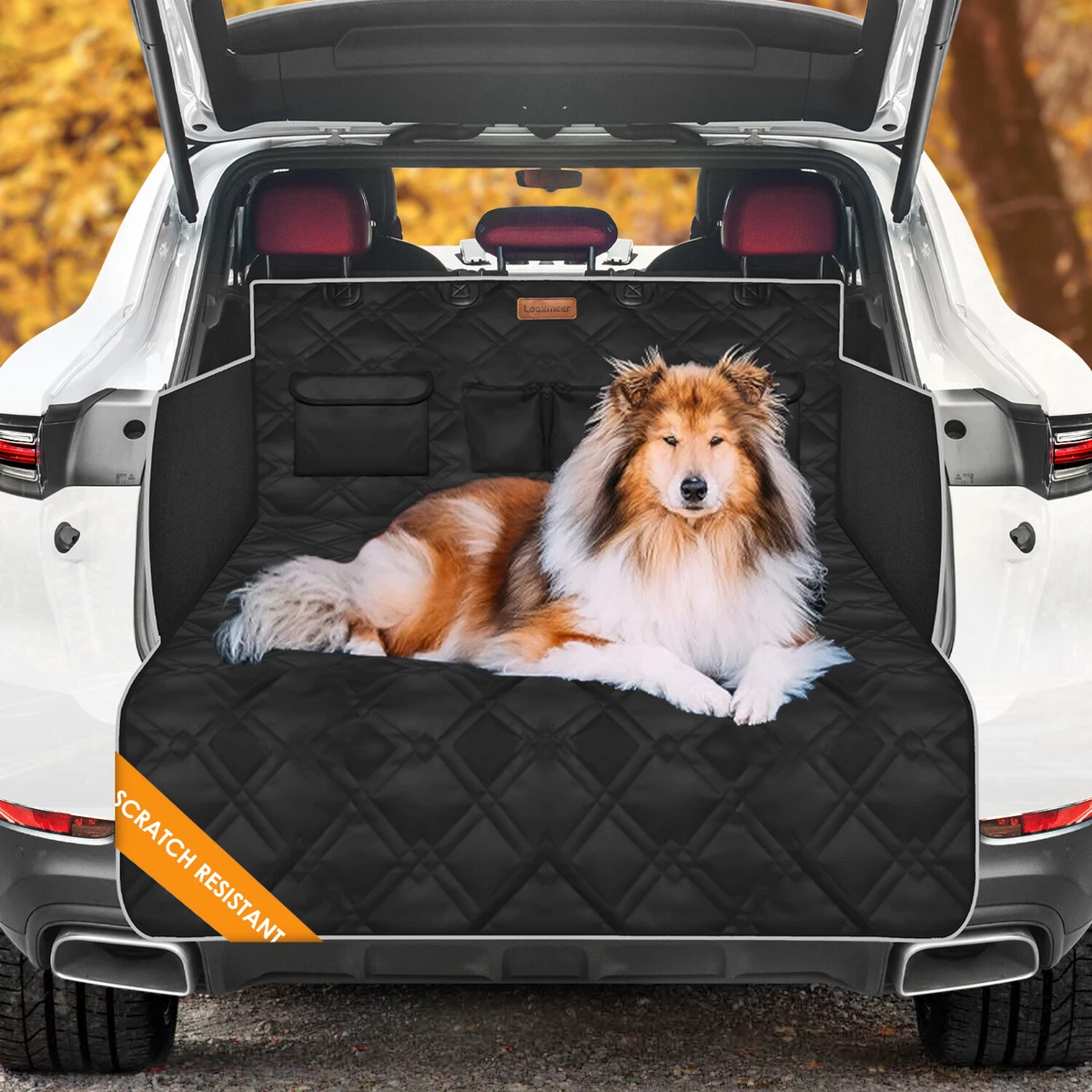 Boot covers top for dogs