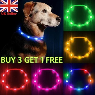 LED Light Up Dog Pet Collar USB-Rechargeable Safety Flashing Adjustable 3+1 Free - Image 1 of 4