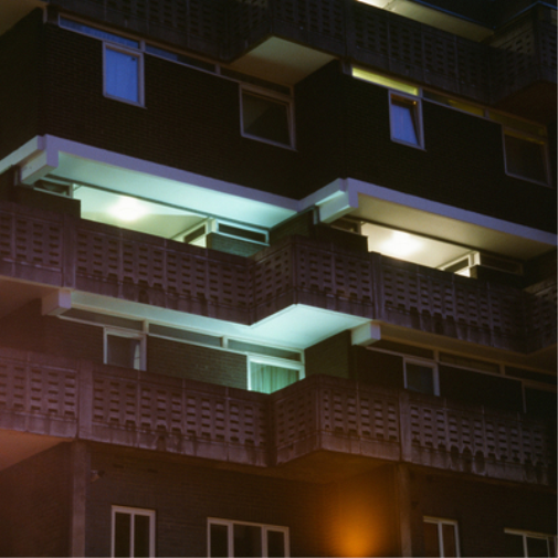 Dampé Garden (Vinyl) 12