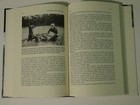 Afbeelding 15 van 19