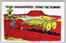 Vintage Postcard, Humor, Texas, Grasshoppers