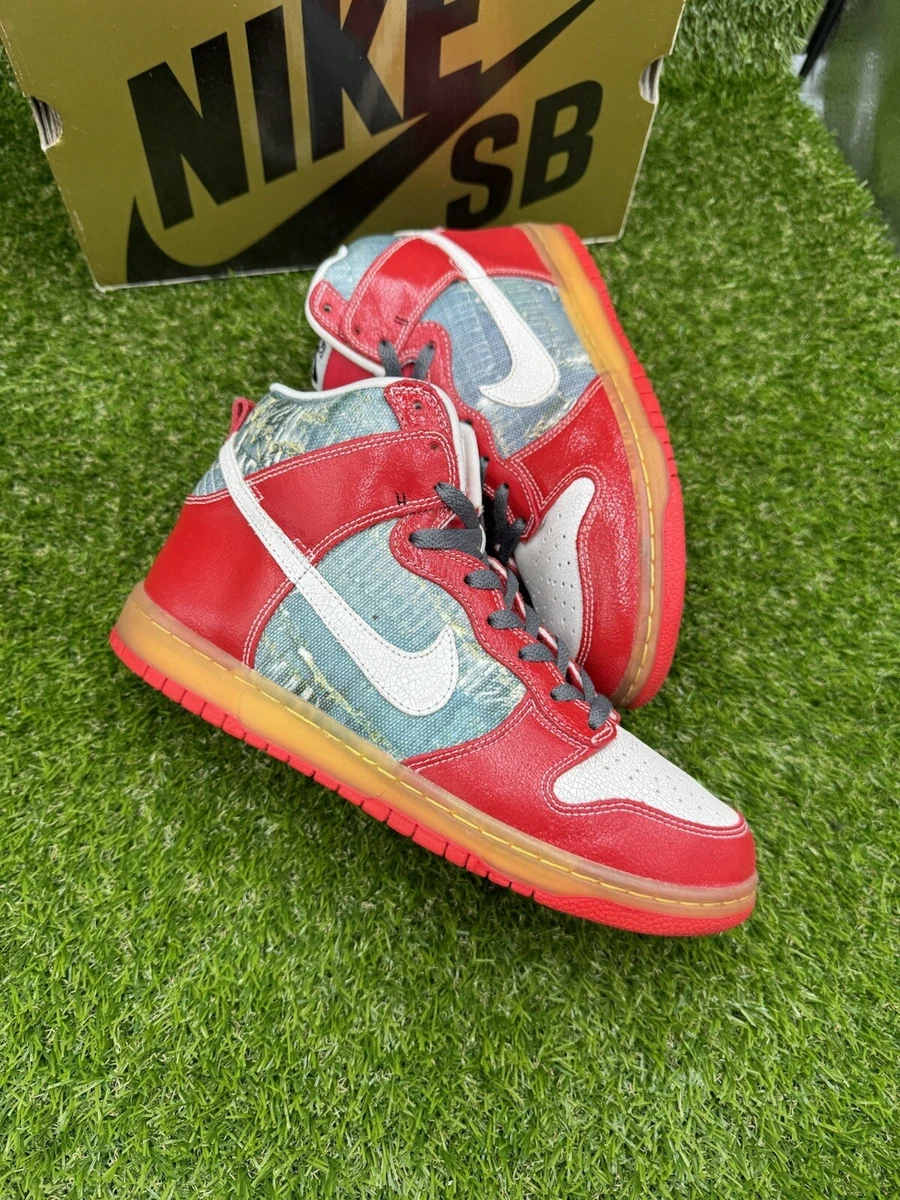 Nike sb best sale dunk shoe goo