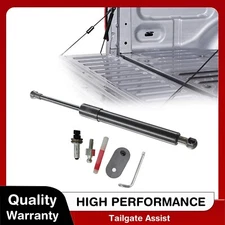 Rear Truck Bed Tailgate Assist for Ford F-150 97-03 F250 F350 Super Duty DZ43203