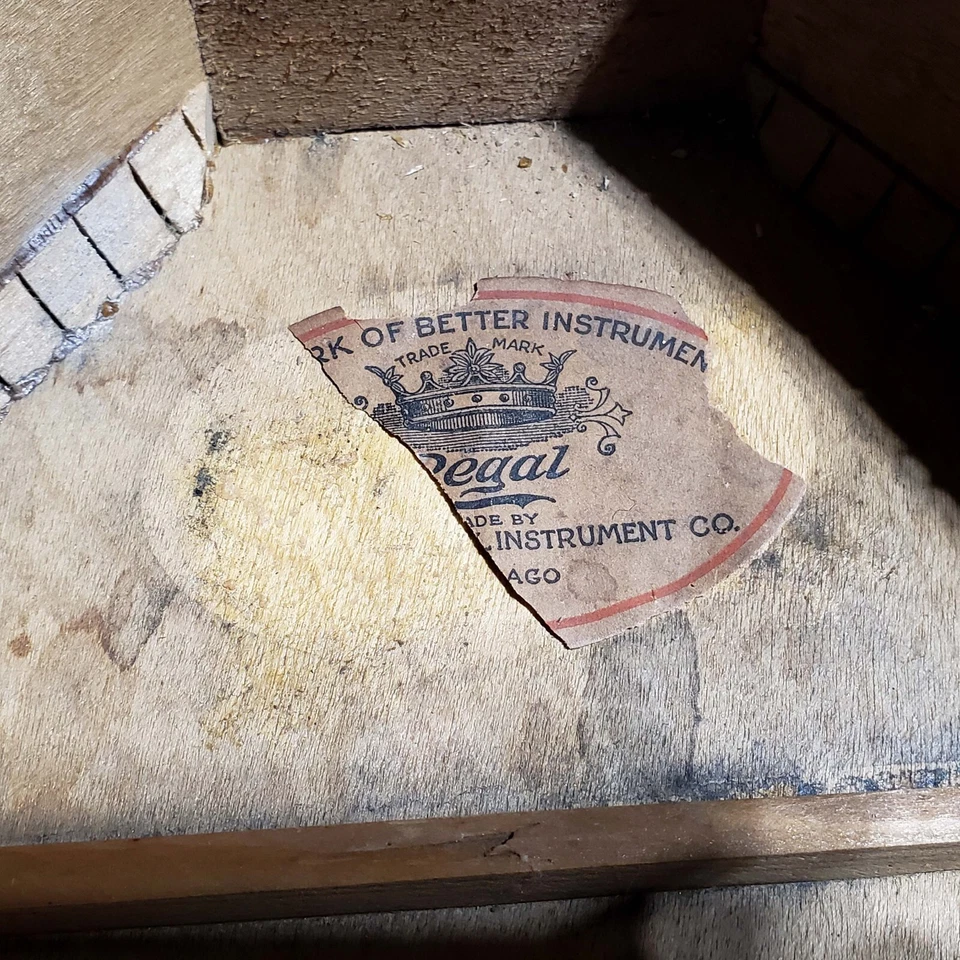 Regal Stencil Mandolin 1930s Full Restoration, Metallic Greenburst with Decals - Image 3 of 4