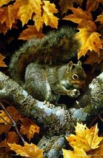 Carl Brenders GOLDEN SEASON-GRAY SQUIRREL, PUBLISHER'S PROOF PP#14/20 R@RE!