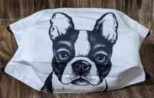 Boston Terrier Dog Adult Facemask with Filter Pocket