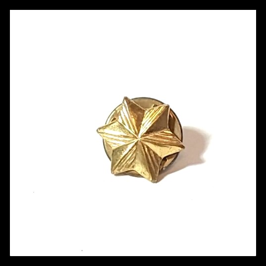 Vintage Girl Scout Membership 6 Point Gold Color Star Pin Hat 2090₽