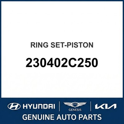 Kia Optima Ringsatz - Kolben OEM Neu 230402C250