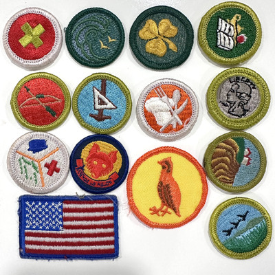 Vintage Boy Scouts Of America BSA MERIT BADGE Outdoor Adventure Patch Lot