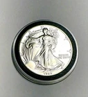 1989 American Silver Eagle 1 Troy Oz. .999 Fine One Dollar Coin Uncirculated