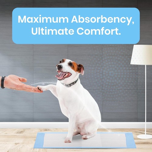 100 Pet Training Pads for Dogs 36x36" Unscented Ultra-Absorbent 2XL Potty Pads - Picture 4 of 16
