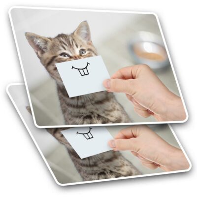2 x Rectangle Stickers 10 cm - Kitten Meme Cat Funny Joke #13285 | eBay UK