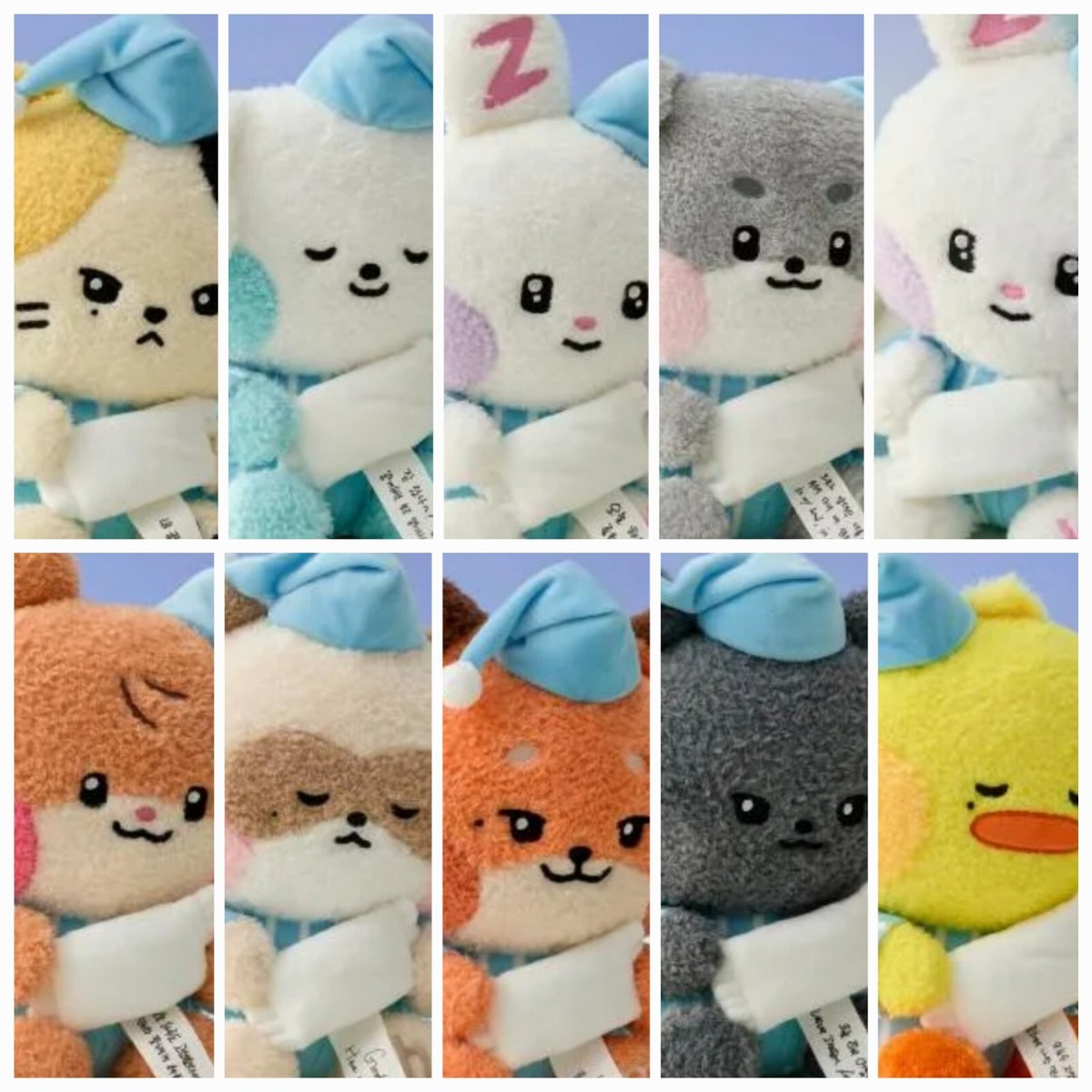 ZB1 ZEROBASEONE ZERONI message Medium doll LINEFRIENDS official | eBay