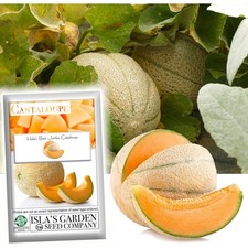 Hale's Best Jumbo Cantaloupe Seeds for Planting, 50 Heirloom Melon Seeds Per...