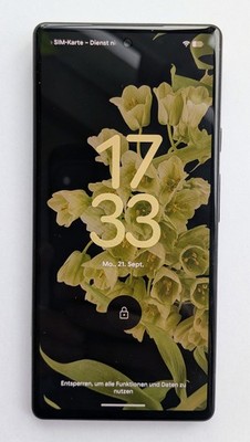 Google Pixel 6 - 128GB - 5G - Sorta Seafoam - ohne SIM Lock - WIE NEU