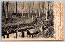 Postcard Pennsylvania Ogontz the Brook c1910 59E