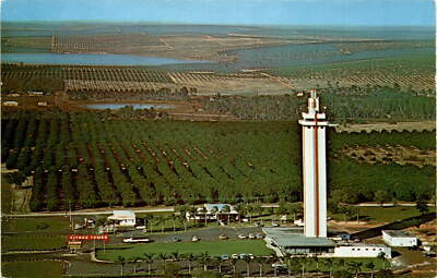 CITRUS TOWER, ELEVATOR, AERIAL VIEW, Clermont, Florida Postcard