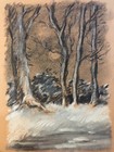 Bild 8 von 11