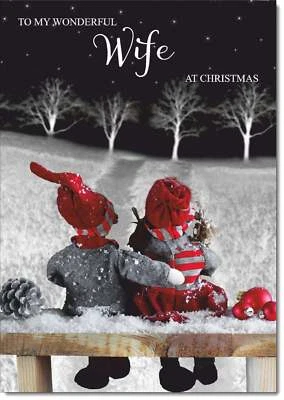 Doodlecards Wife Christmas Card Cute Couple on a Snowy Night