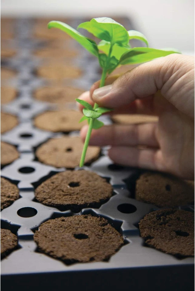 通用水培快速滑板车,种子起动器插头或50个插头 — 第 2/4 张图片