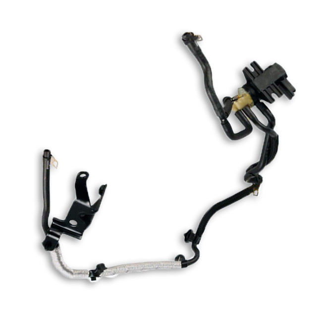 NEU FORD ECOSPORT MK2 VAKUUMSCHLAUCH UND HALTERUNG ASSY 2118156 