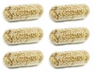 MOINA MACROCOPA HUEVOS AGUA PULGAS ALIMENTO VIVO BETTA GUPPY PEZ Comida 6 cápsulas