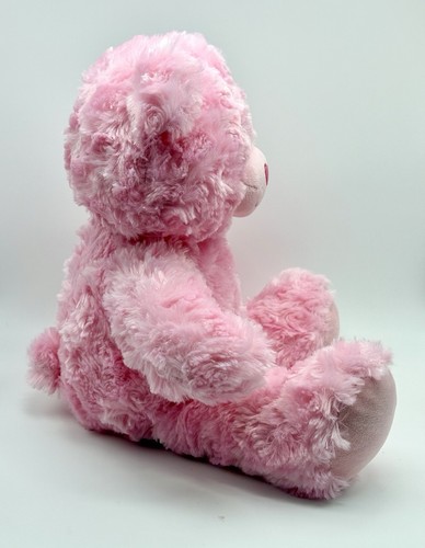 Build A Bear BABW rosa Wirbel Teddybär mit Herznase Plüsch - Bild 5 von 8