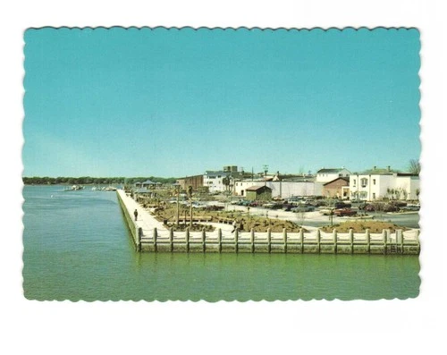 Beaufort's new waterfront and Henry Chamber's Park Beaufort SC VTG postcard UNP