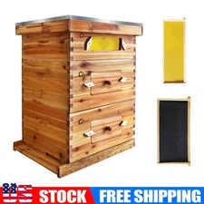 10 Frame Complete Beehive Kit ( 2 Deep Brood Bee Boxes & 1 Medium Super Bee Box)