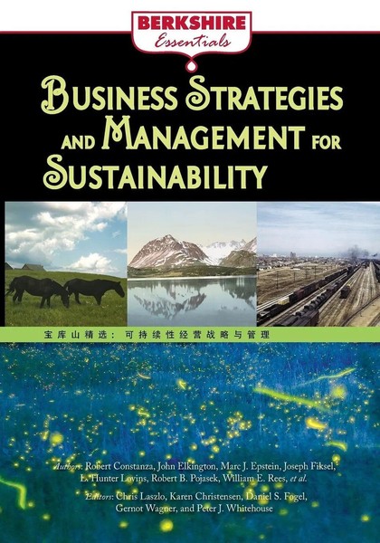 Business Strategies And Management For Sustainability | Taschenbuch | Englisch-image