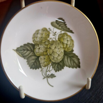 The Worcester Hop um 1795 Bone China Mathon Untersetzer