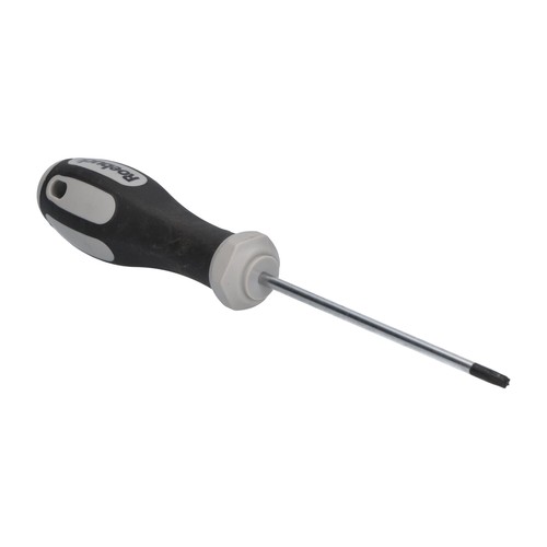 Roebuck T20X100 Screwdriver New NMP - Picture 6 of 8