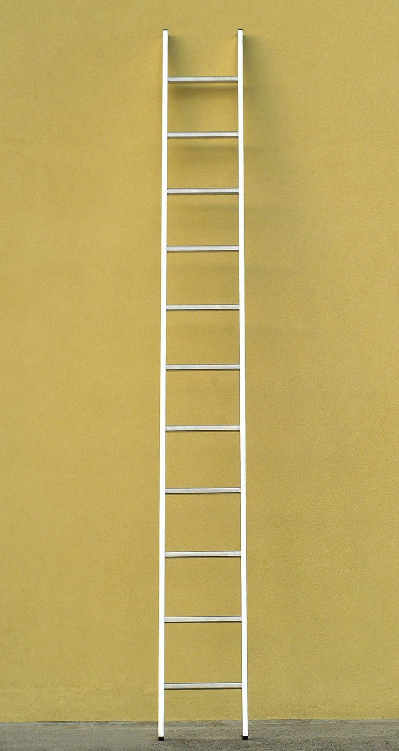 Scala Alluminio 12 Gradini Doin Venus 350 cm - Prezzo e Offerta Online