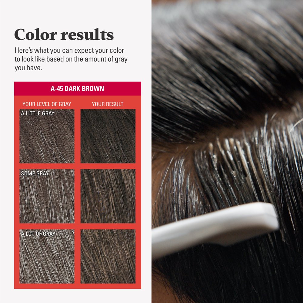 Just for Men Easy Comb-In Hair Color for Men with Applicator, Dark Brown, A-45