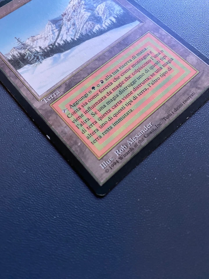 MTG Taiga Foreign Revised Italian Edition - Image 4 of 4