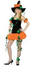 Womens Pumpkin Witch Adult Costume