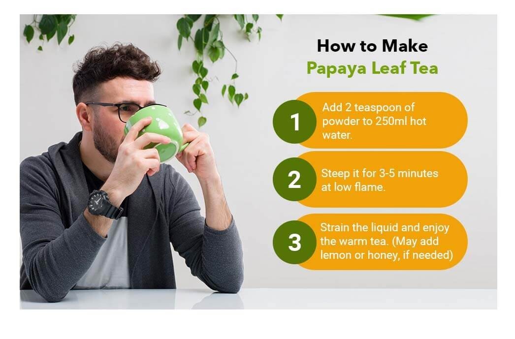 Papaya Leaf Powder 16 oz (1 lb) | Herbal Tea, Juice Extract, Antioxidant