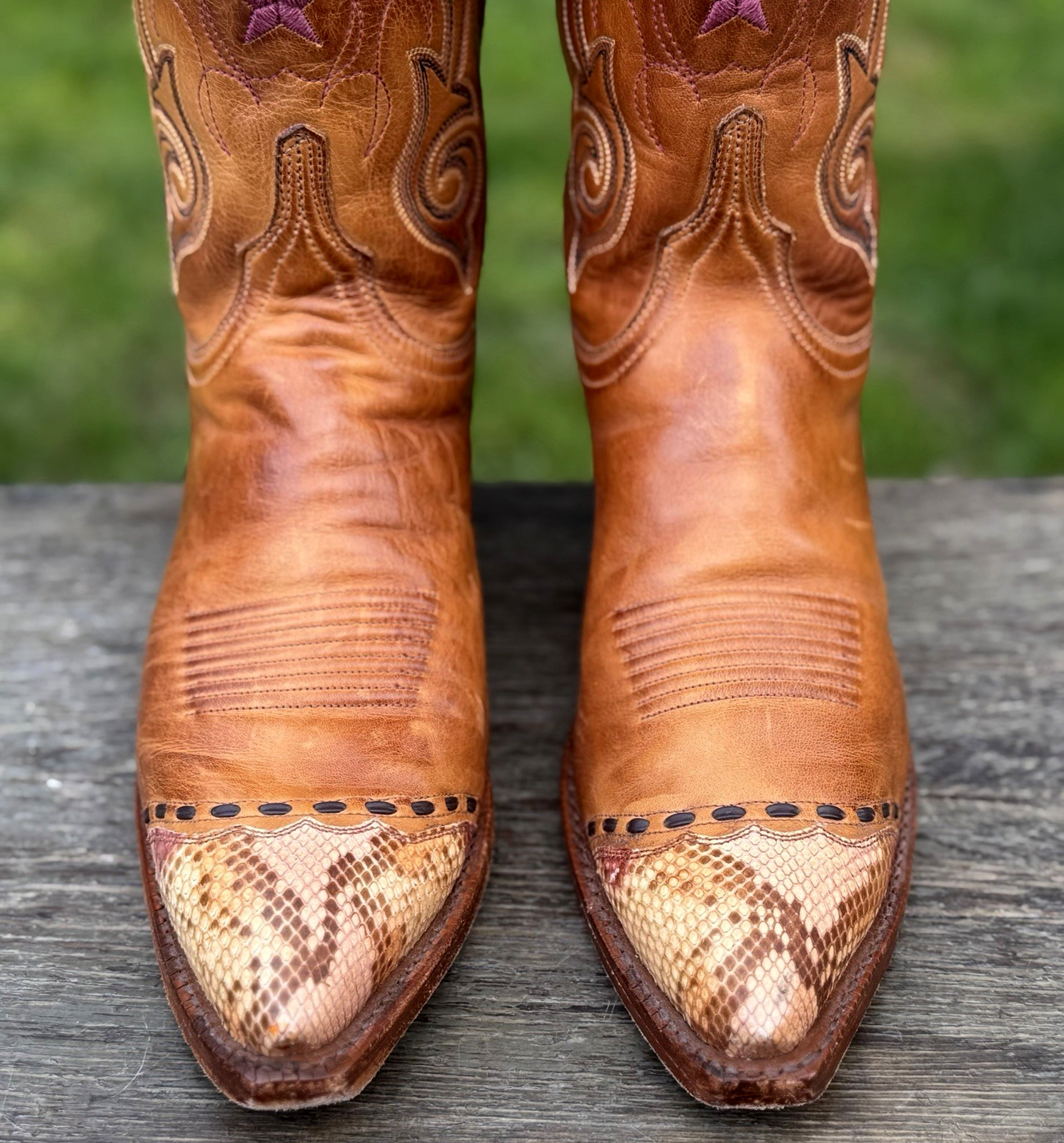 Vtg Lucchese Genuine Python Wingtip ⭐ Embroidered… - image 3