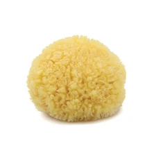 Neptune Caribbean Sea Sponge, Hand Cut, Medium, 1 Count (Pack of 1), Yellow 