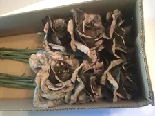 Katherine's Collection Dusty Rose Floral 08-784580 NEW Box Of 12 Halloween