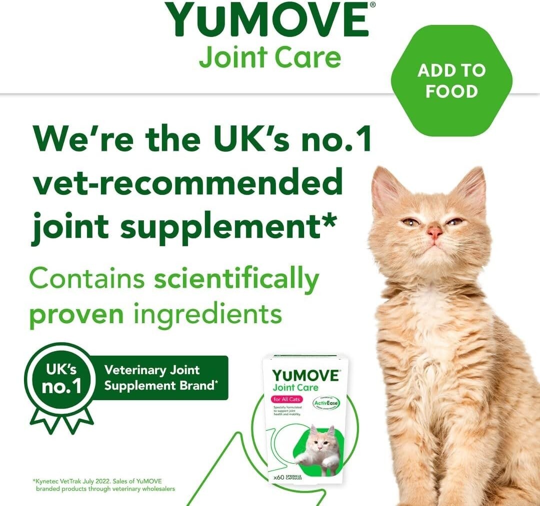 YuMOVE Cat Joint Supplement for Cats 60 Tablets DIRECT FROM YUMOVE eBay