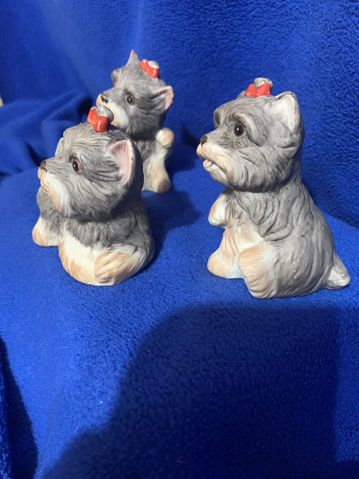 Picture 3 of 13
