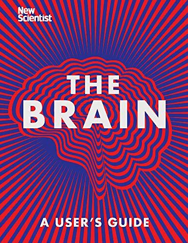The Brain: Everything You Need to Know - Image 5