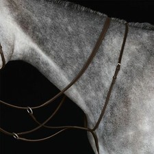 Collegiate Running Martingale