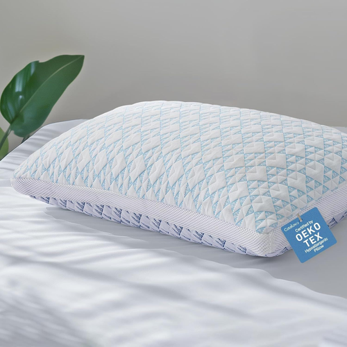 Cooling Bamboo Viscose Shredded Memory Foam Queen Pillow White